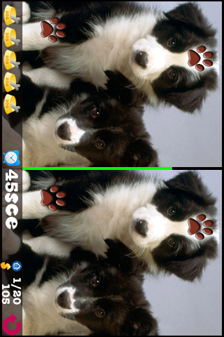 Screenshot Find it! Q dog Screenshot Find it! Q dog